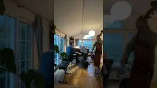 Desafinado | Double Bass and Piano Duet