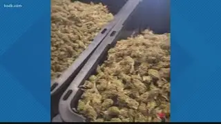 'Bud Man' asked to stop selling at Soulard Farmers Market
