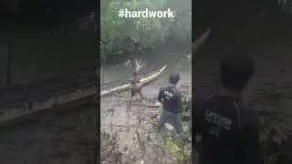 Sipag at tyaga AMIGO. | Life in fishpond | Don jamal tv.