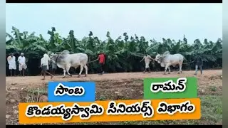 కొండయ్యస్వామిసీనియర్స్ విభాగంలో 5వజతబీరం బుల్స్, BSS రెడ్డిగారు