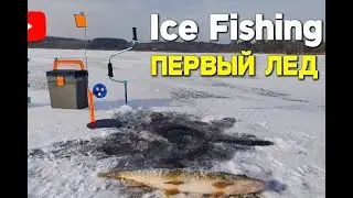 Зимняя рыбалка 2026