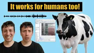 How scientists can 