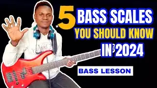 5 Essential Bass Scales EVERY Beginner MUST Master In 2024 (COMPLETE BASS COURSE)