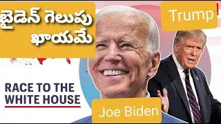 US Presidential Polls Latest | American Elections | Donald Trump | Joe Biden | Political Analysis
