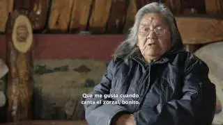 Cabo de Hornos: Cultura y naturaleza, aves