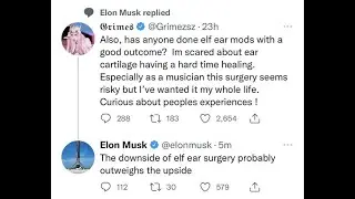 Elon Musk Seemingly Disapproves of Grimes' Longtime Desire to Get 'Elf Ear Surgery'