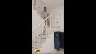 Pensaba que estaba solo y le pasó esto😨😨
