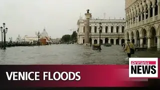 70% of Venice flooded by exceptional high tide
