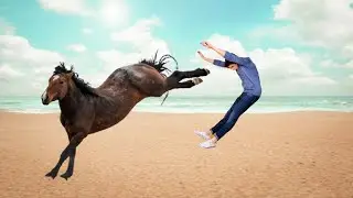 Best Horse Attacks | Dangerous Horse Kicking Compilation