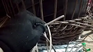 Узор КОЛЬЧУГА из искусственного ротанга.