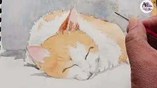 sleeping cat drawing & colour for beginners #art #painting #cat #watercolor #animals #share  #viral