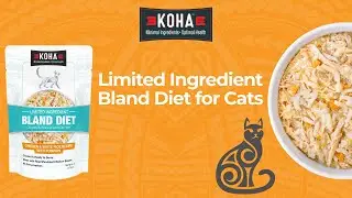 Bland Diet For Cats