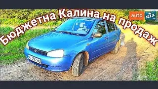 Купив в Львові калину за 2 дня продав  Скільки заробив??