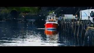 (4K) Ilfracombe - The Harbor Sounds - GH5 12-35mm f/2.8