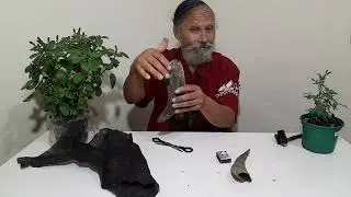 Magias com chifre