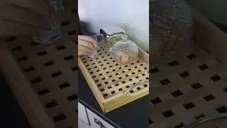 CANTINHO DO CAF&Eacute; NA BANDEJA: APRENDA COMO FAZER