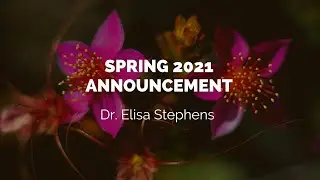 Spring 2021 Announcement | Academy of Art University