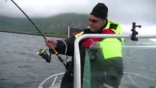 Heilbot  146 kg nordskot