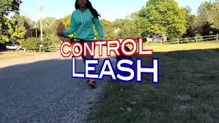 Control Leash: Instantly Stops Pulling