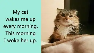 50 Hilarious And Relatable Tweets About Life With Cats And Dogs