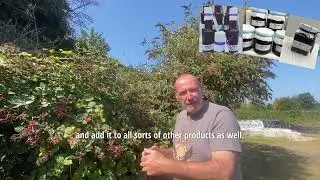 First EVER video!!! Wild n&rsquo; Bee - Brambles