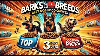 Best Dog Food Brands: Choosing the Right Dog Food: Our Top 3 Picks!