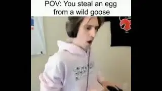 POV: You steal an egg from a wild goose (XQC)