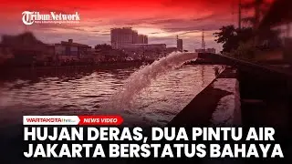 Hujan Deras, Dua Pintu Air Jakarta Berstatus Bahaya