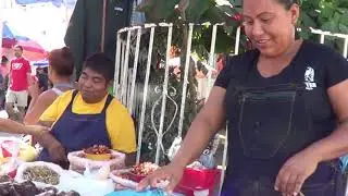Como era  Tierra Colorada antes del covid   &iquest;alg&uacute;n d&iacute;a sera igual?