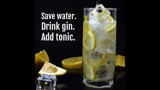 Gin And Tonic Day  | TradeMyHome.com | Your Home Sold Guaranteed By Gupta Group