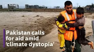 Pakistan declares 'climate catastrophe' after flooding kills over a thousand