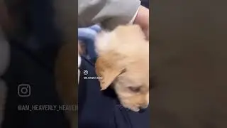 First video of our little pieace of Happiness&hearts;️