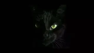 Researchers Connect BlackCat Ransomware with Past BlackMatter Malware Activity.