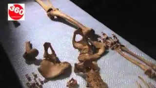 Digging For Britain: St. Brice's Day Massacre