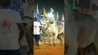 DVR Memorial 🔥DHEERA &JWALA 🔥
