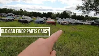 Field of old cars...Parts???(Future Will it Run??)