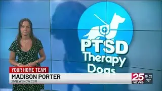 'He's my best friend': Service dog in training helps local veteran face PTSD