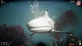 Death In The Water 2. Dives 6 - 9 Walkthrough (No Commentary)