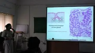 SGD On Histology of Glands: Classification, Secretion & Examples | MBBS