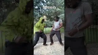 New Dance Invented by Dogs 😳