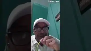 Los plutones.ceberino