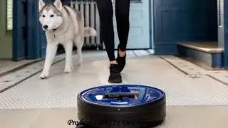Best Vacuum Cleaner 2020