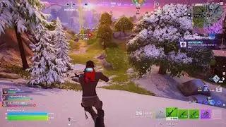 Fortnite BMLevi  victory