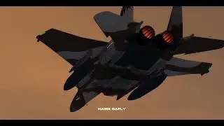 65th aggressor squadron. Aerofly 2021 android
