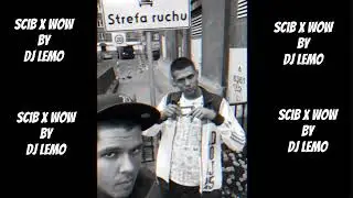 Sos Ciuchy i Borciuchy x Wow (remix by DJLEMO)
