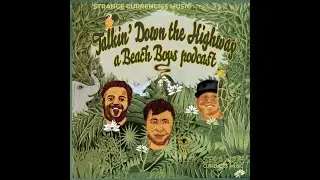 Episode 41: The Beach Boys on Full House