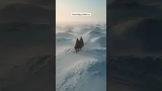 Most insane sunrise in Iceland 🇮🇸 #Iceland #HorseRiding