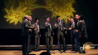 SOLEVOCI FESTIVAL 2010  - Short version