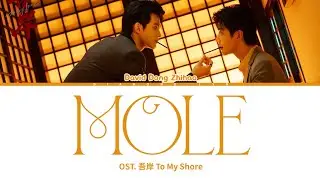 烟痣 – 董梓灏David | OST. 吾岸 To My Shore | Chi|Pin|Eng|Lyrics