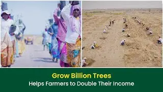 How farmers double their income with the help of Growing Billion Trees
